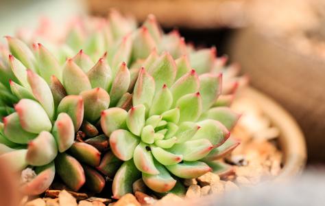 һܲƾ:ծȯͨƿɴ йڿһ